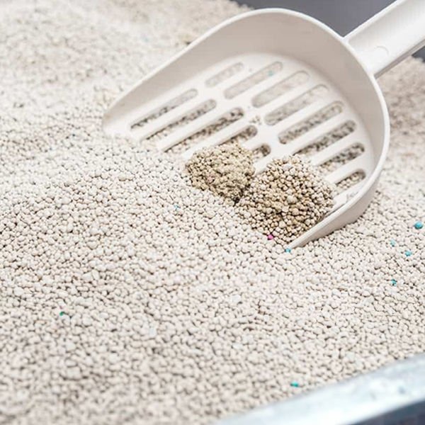 Reflex Sensitive Kokusuz Bentonit Doğal Kedi Kumu 6 Lt